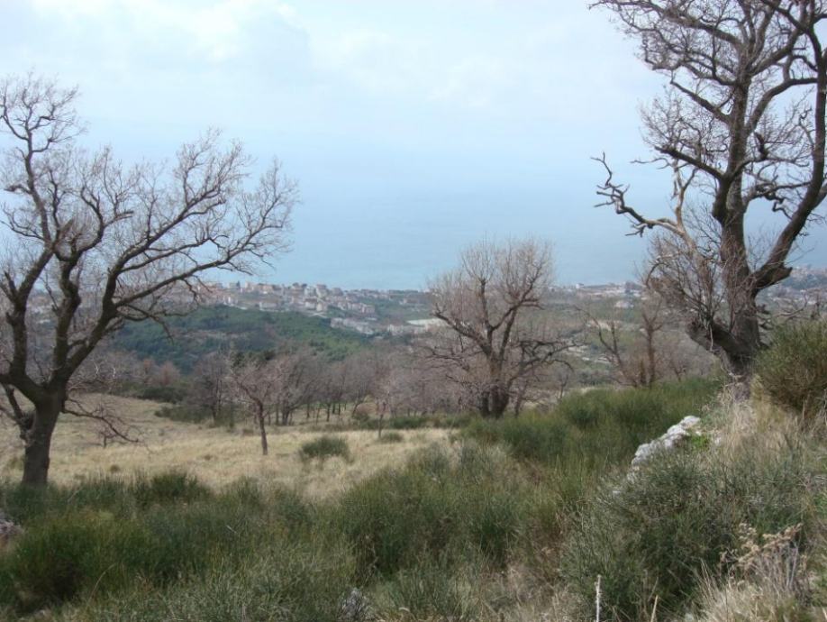 Atraktivno građevinsko zemljište, stambena zona, Podstrana