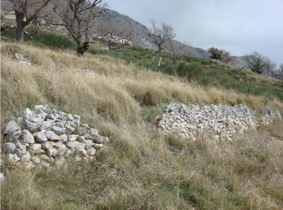 Atraktivno građevinsko zemljište, stambena zona, Podstrana
