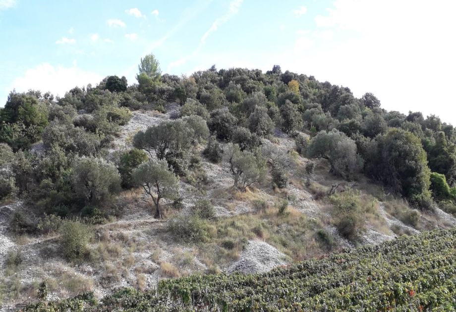 Atraktivno zemljište 30.348 m2, Postira, otok Brač